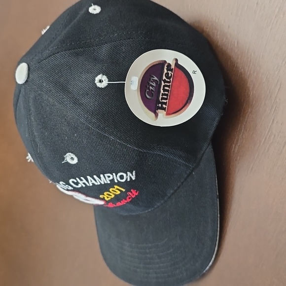NASCAR #3 Racing Champion Cap Hat Dale Earnhardt 1951-2001 Velcro - Picture 2 of 4